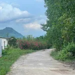 Bán lô đất Diên Tân 6.585m² thích hợp làm farm - Ảnh thu nhỏ 3