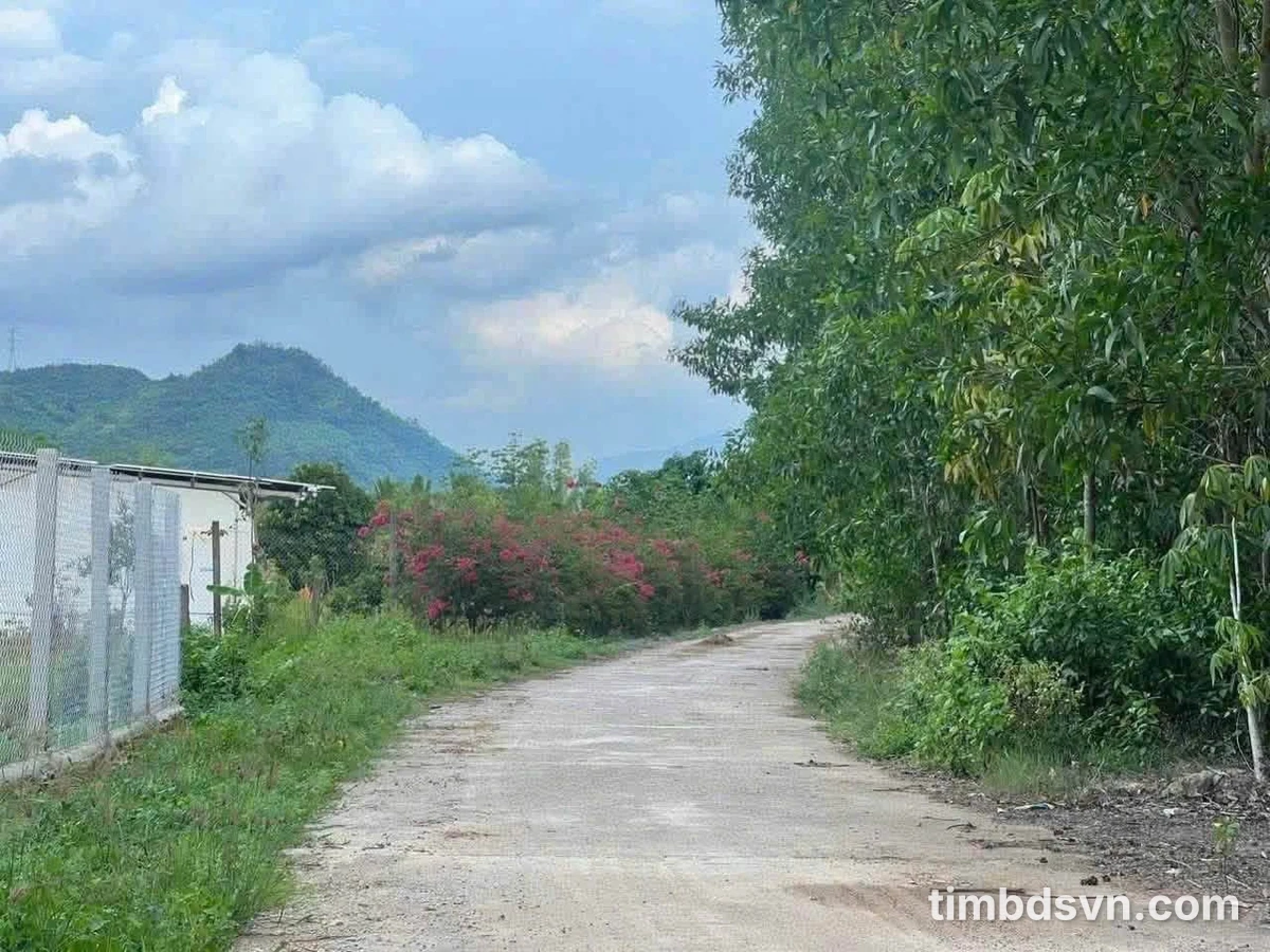 Bán lô đất Diên Tân 6.585m² thích hợp làm farm - Ảnh thu nhỏ 3