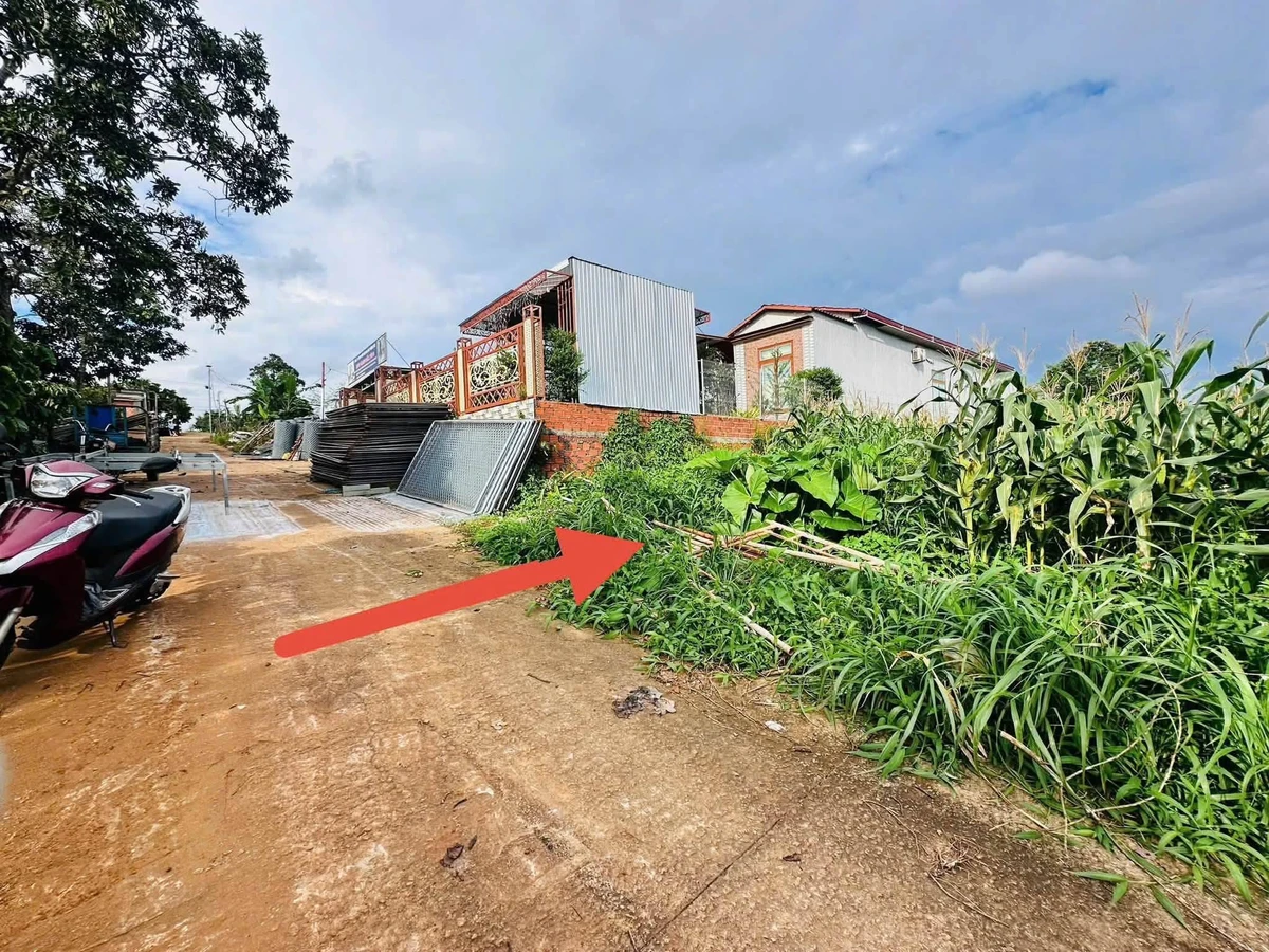 Bán đất nền 500m2 giá 50 triệu/m2 gần Đồng Khởi - Ảnh thu nhỏ 4