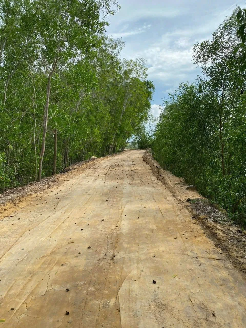 Bán đất 2ha An Ngãi Long Điền 10 tỷ 400 - Ảnh 1