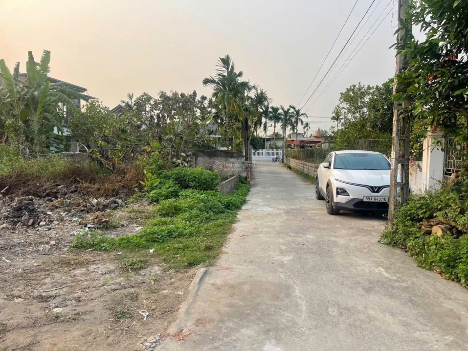 Bán đất Thái Thịnh - Thái Thụy - Thái Bình, Full thổ cư 790tr triệu, Ngõ thông oto, cạnh trường học - Ảnh 1