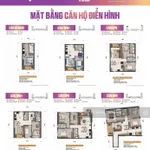 Căn hộ ở sở hữu lâu dài gần biển Vũng Tàu tiện ích đầy đủ - Ảnh thu nhỏ 5