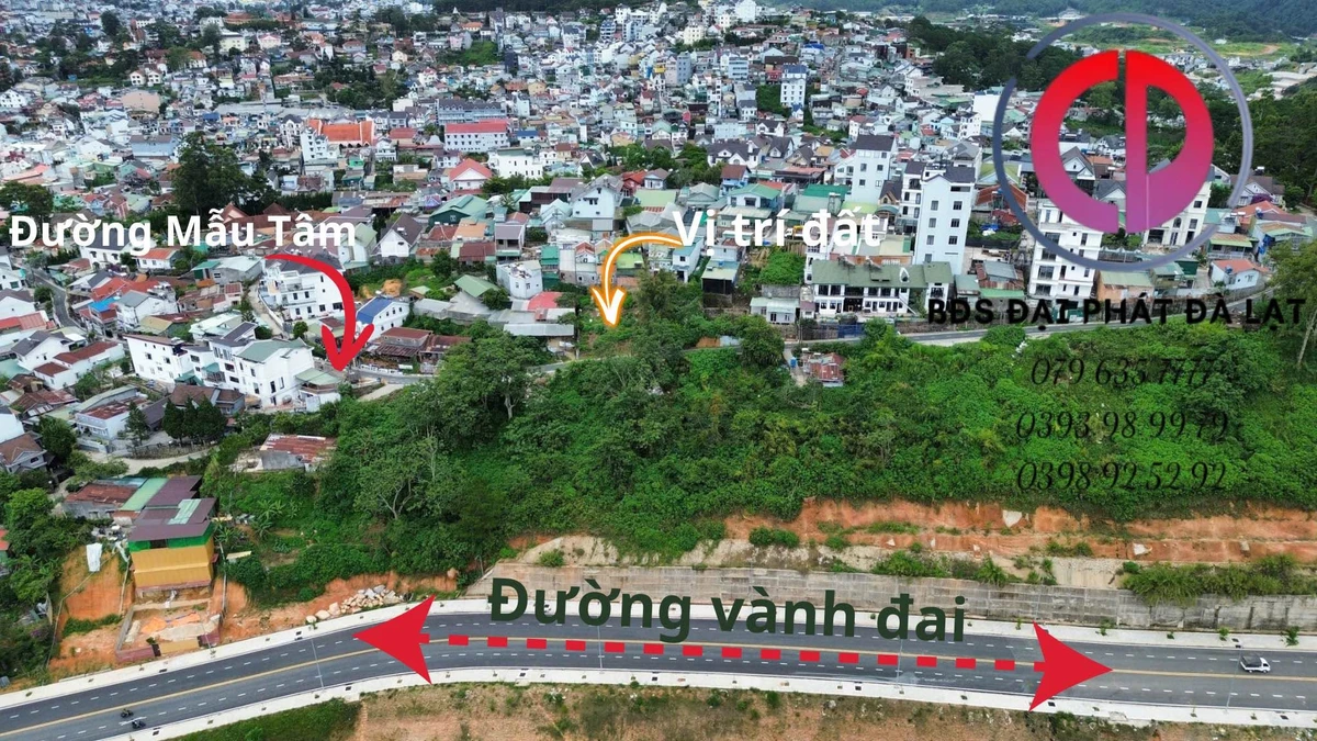 Bán đất biệt lập 309m2 mặt tiền Mẫu Tâm, Đà Lạt - Ảnh thu nhỏ 3
