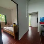 Cho thuê nhà sân vườn 300m², 2PN ở Hòa Long, Bình Dương - Ảnh thu nhỏ 3