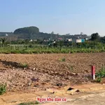 Bán đất Mê Linh gần Đà Lạt 175m² 899 triệu - Ảnh thu nhỏ 3