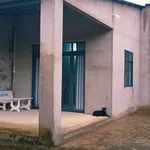 Bán nhà xây mới 500m² 3PN Bình Phú 850 triệu - Ảnh thu nhỏ 5