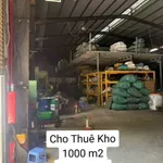 Cho thuê kho xưởng 1000 m² 50 triệu/tháng Bình Chánh - Ảnh thu nhỏ 2