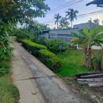 Bán đất nền ngang 8m dài 30m có thổ cư tại Kinh Dài Tây, An Giang - Ảnh thu nhỏ 3