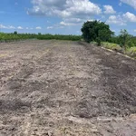 Bán đất vườn 500m² Thủ Thừa Long An 319 triệu - Ảnh thu nhỏ 4