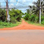 Bán đất Tây Ninh Ấp An Bình 280 triệu - Ảnh thu nhỏ 2