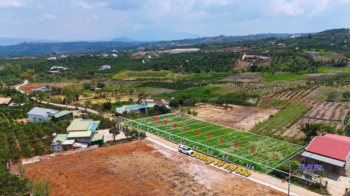 Bán đất mặt tiền Võ Thị Sáu Lâm Đồng 138m² 335 triệu - Ảnh thu nhỏ 4