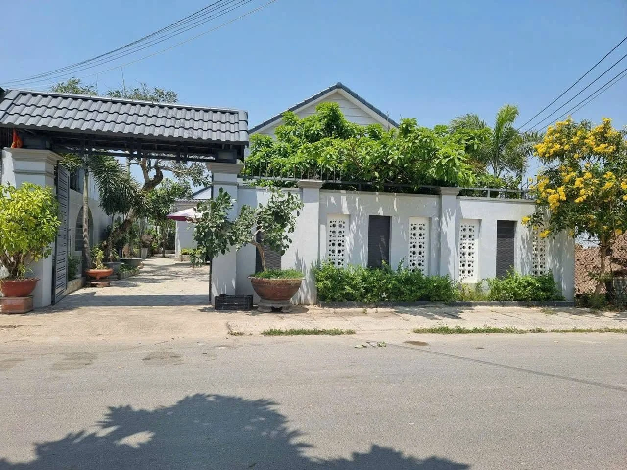 Bán nhà vườn biệt thự góc 2 mặt tiền 542m2 Tỉnh Lộ 44B, Long Điền, Bà Rịa - Vũng Tàu - Ảnh 1