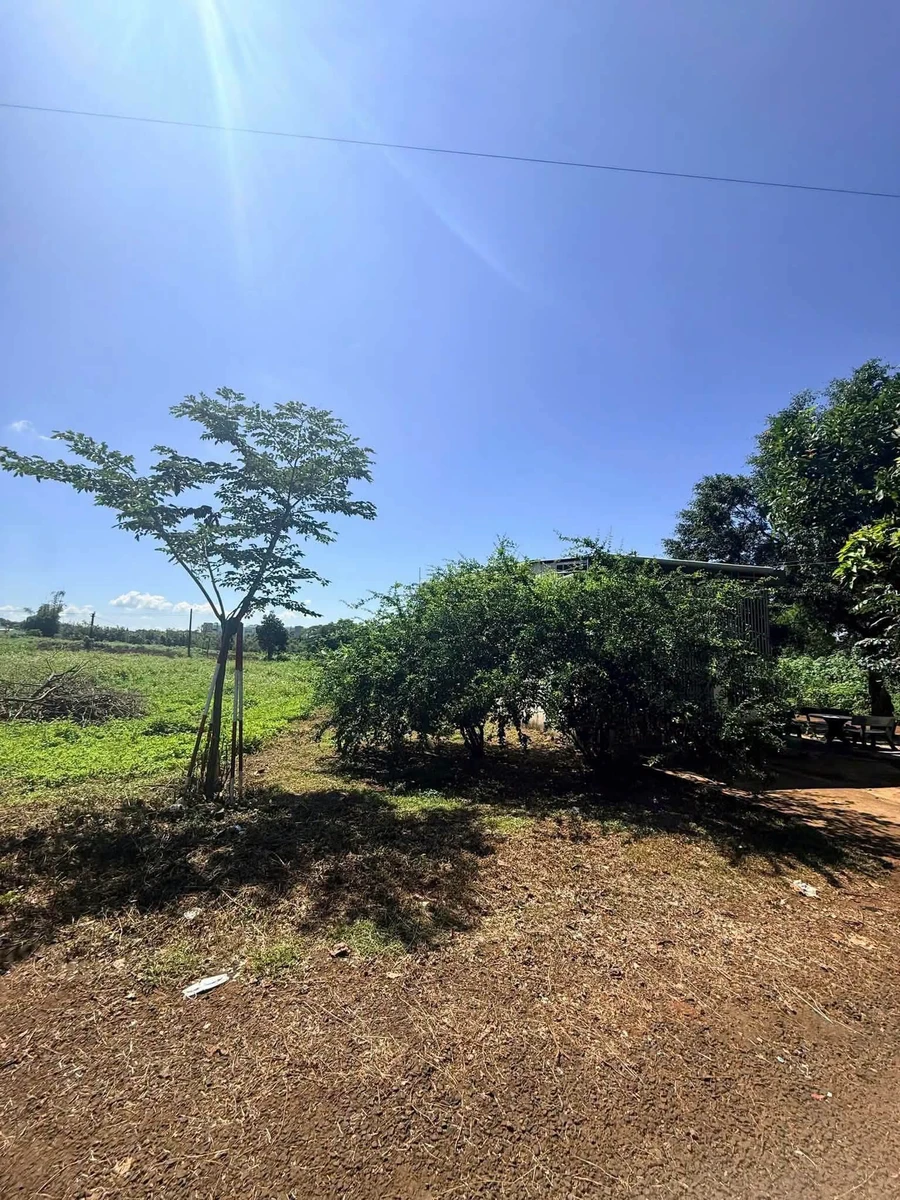 Bán đất mặt tiền Nguyễn Cư Trinh Pleiku 150m² 1,25 tỷ - Ảnh thu nhỏ 2