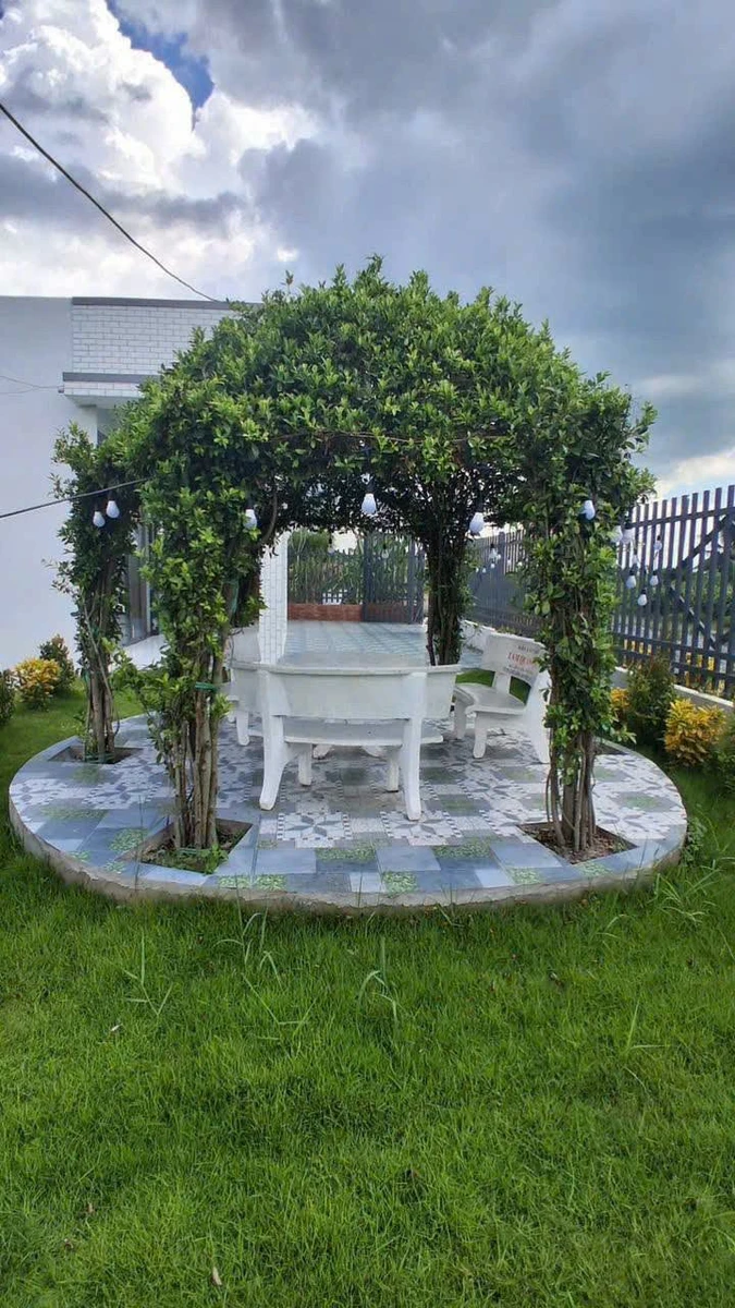 Bán nhà vườn 1000m² 2 phòng ngủ tại Thủ Thừa, Long An - Ảnh thu nhỏ 4