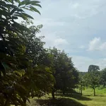 Bán đất 3000m² mặt tiền 60m Lộc Ninh Bình Phước 600 triệu - Ảnh thu nhỏ 2