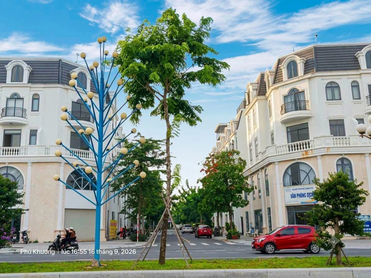 Cho thuê nhà góc 1 trệt 3 lầu 450m² Đại lộ Đông Tây 25tr/tháng - Ảnh thu nhỏ 4
