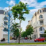 Cho thuê nhà góc 1 trệt 3 lầu 450m² Đại lộ Đông Tây 25tr/tháng - Ảnh thu nhỏ 4