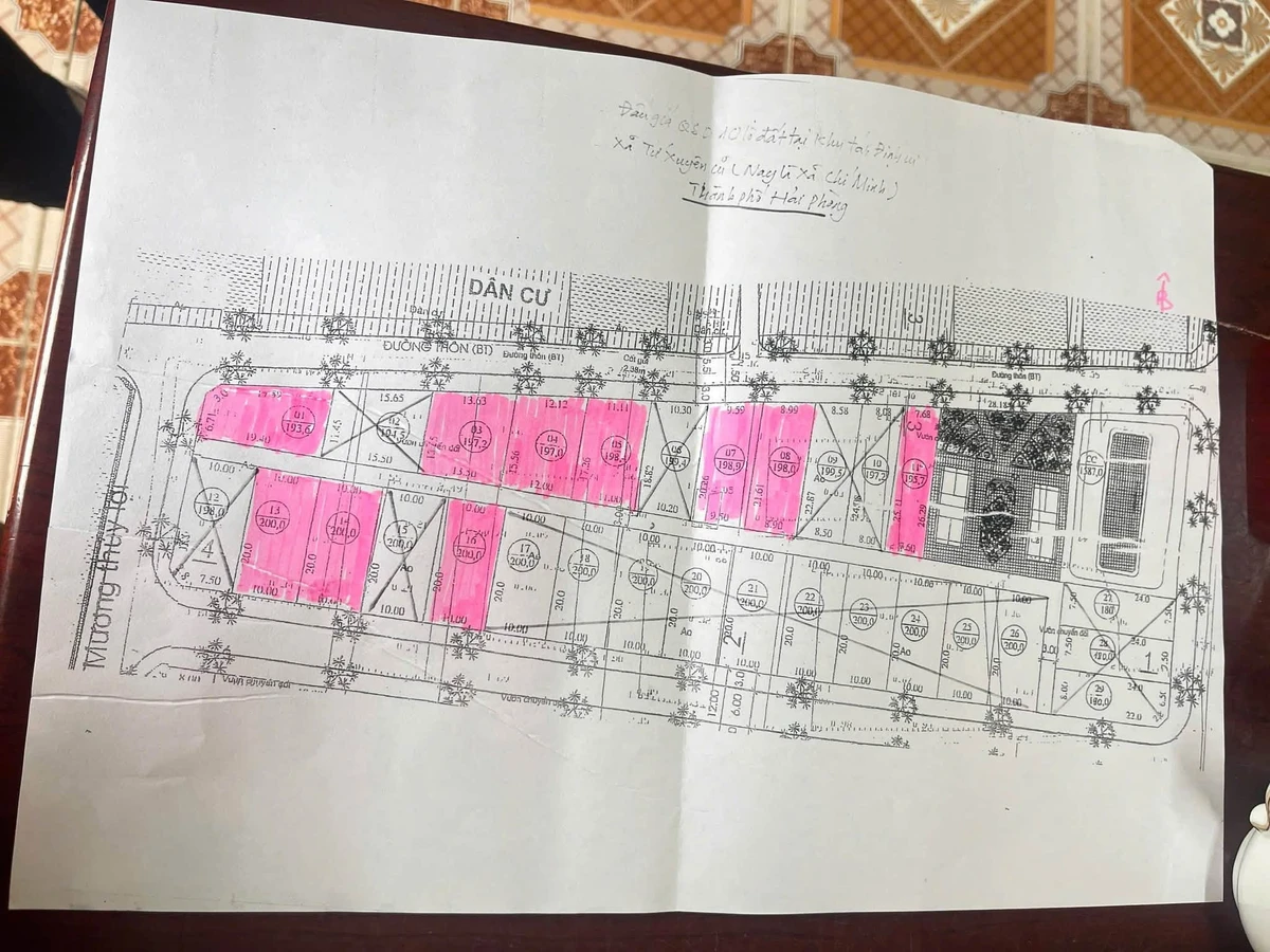 Bán đất Làng Vực Hải Phòng 200m² mặt tiền 13m giá 1 tỷ - Ảnh thu nhỏ 2