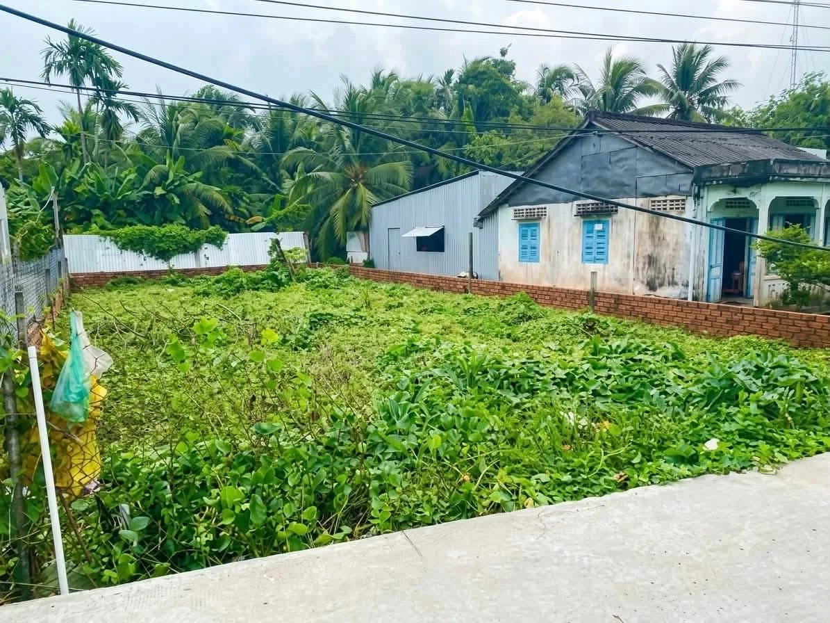 Bán đất nền 270m2 mặt tiền Hàng Gòn, Cần Thơ - Ảnh thu nhỏ 2