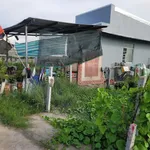 Bán nền mặt tiền Kênh 7 Thạnh Lộc 245m² 520 triệu - Ảnh thu nhỏ 1