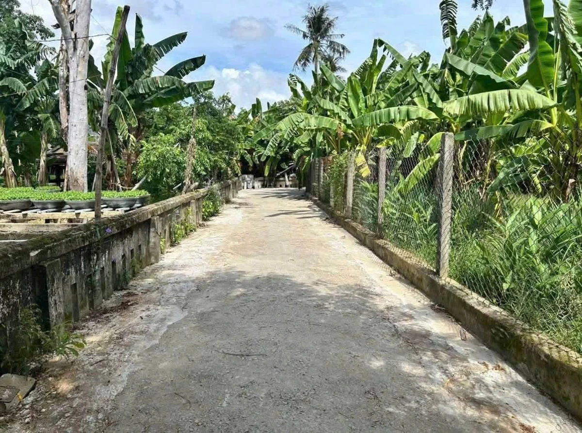 Bán đất kiệt ô tô Nguyễn Đình Bảy Huế 79,4m2 - 1,53 tỷ - Ảnh thu nhỏ 3