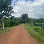 Bán đất 1 hectare cao su Thanh An Hóc Môn 1,5 tỷ - Ảnh thu nhỏ 2