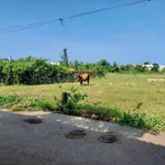Bán đất thổ cư 100m² Hàm Thắng Bình Thuận - Ảnh thu nhỏ 2
