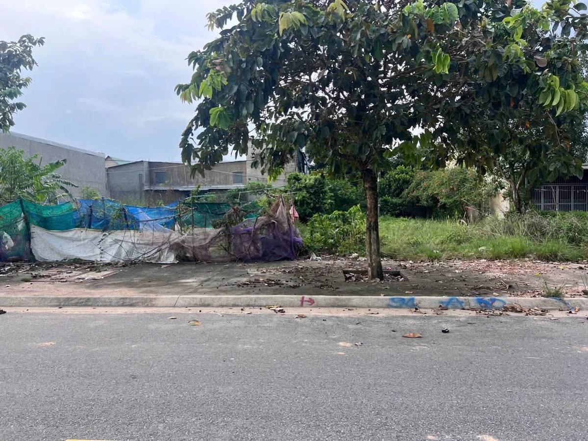 Bán gấp 300m2 đất đường N2A Bắc Tân Uyên - Ảnh thu nhỏ 4