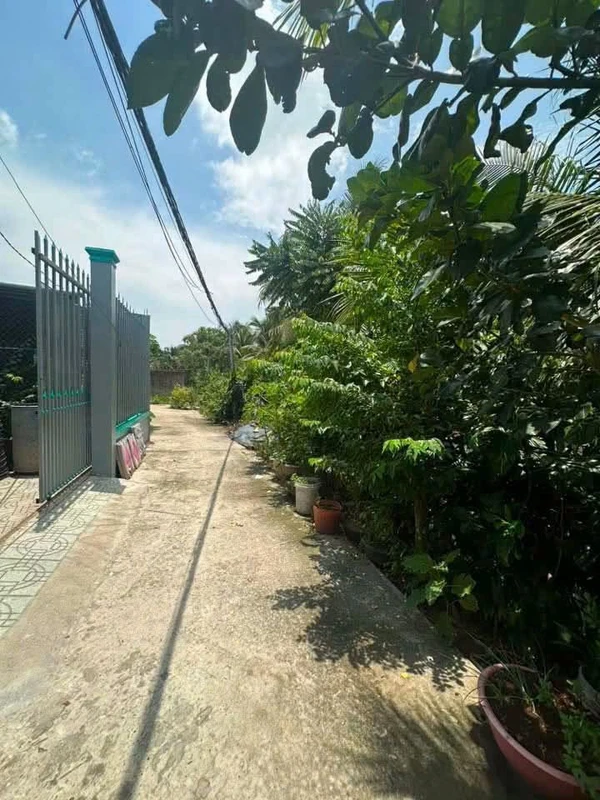 Bán nhà 3 phòng ngủ 326,8m2 tại Bến Tre
