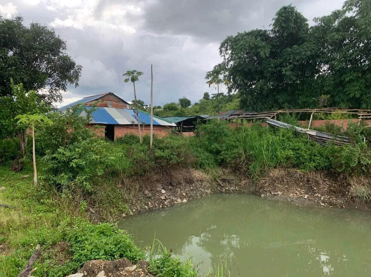 Bán 5,7 ha đất vườn cà phê có sổ hồng tại xã Đăk Mil, Lâm Đồng - Ảnh thu nhỏ 3