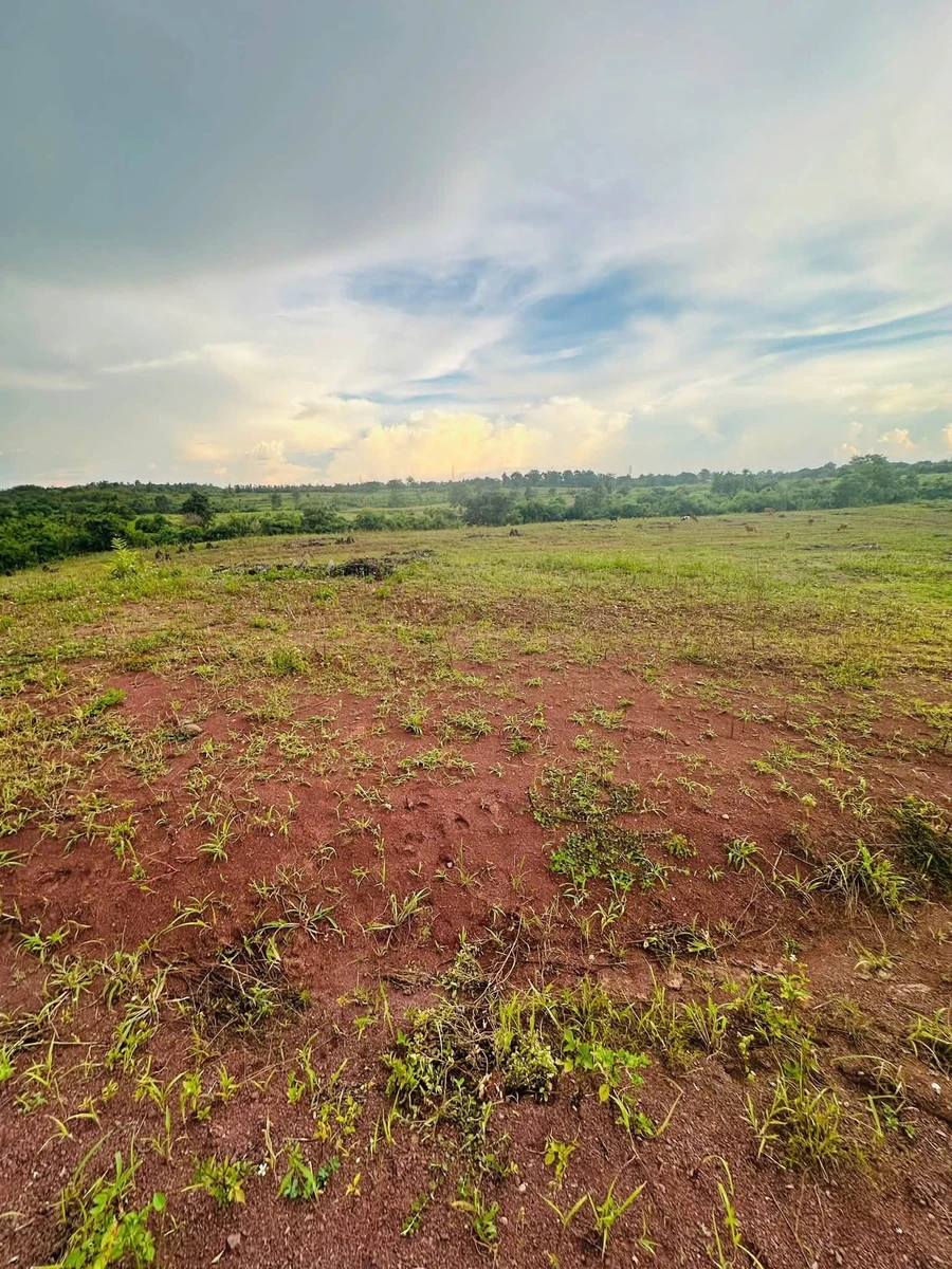 Bán đất 1,7 ha tại Buôn Đôn, Đắk Lắk giáp suối - Ảnh thu nhỏ 2