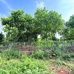 Bán đất vườn 400m² Bảo Vinh 690 triệu - Ảnh thu nhỏ 2