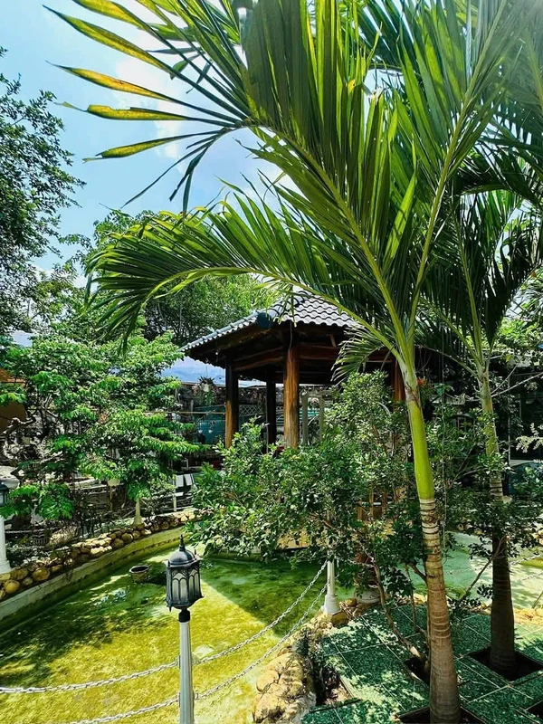 Bán villa 3 phòng ngủ 180m² Phan Huy Chú Buôn Ma Thuột 8,9 tỷ