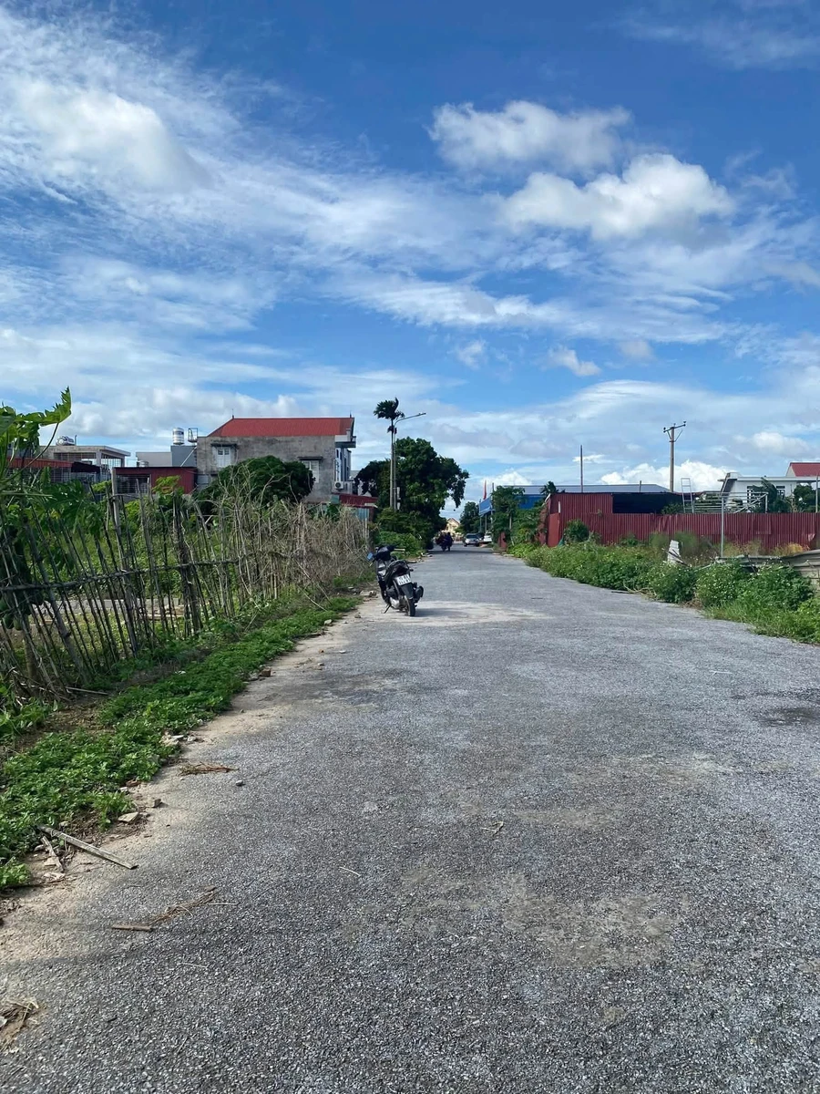 Bán đất mặt đường 97,75m2 Kiến Thuỵ Hải Phòng - Ảnh 1