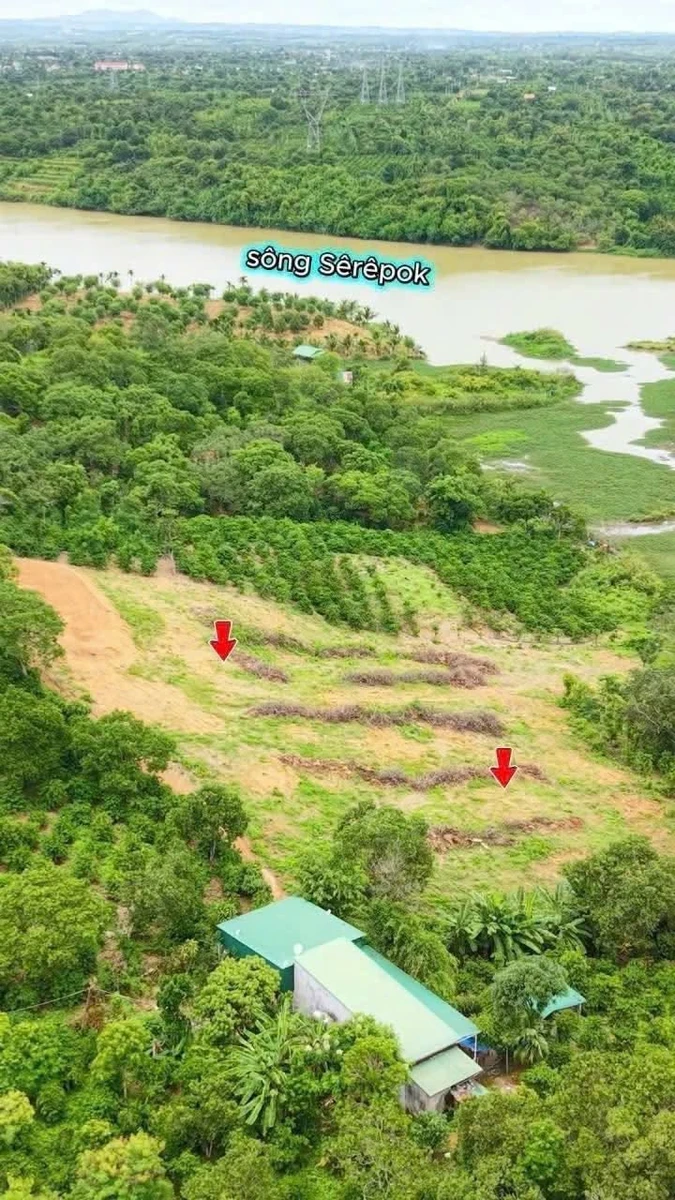 Bán đất 4,6 sào gần sông Sêrêpôk, Hoà Phú, Đắk Lắk - Ảnh thu nhỏ 2