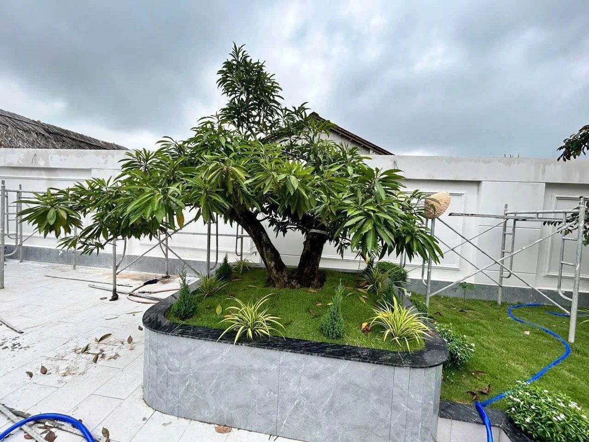 Bán nhà vườn 652m2 Cát Tường Phú Sinh Củ Chi giá 6.5 tỷ - Ảnh thu nhỏ 2