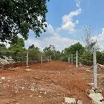 Bán lô đất Tân Hòa 125m², mặt tiền 5m, 900 triệu - Ảnh thu nhỏ 2