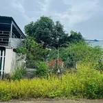 Bán đất 5x25m (125m2) hẻm 113 Nguyễn Cơ Thạch, giá 999 triệu - Ảnh thu nhỏ 3