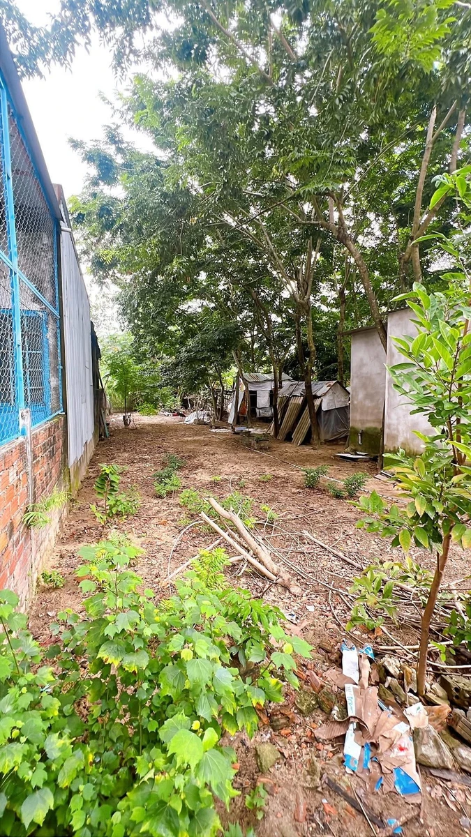 Bán đất 150m² full thổ cư Miếu Bông, Hòa Xuân 1,67 tỷ - Ảnh thu nhỏ 3