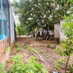 Bán đất 150m² full thổ cư Miếu Bông, Hòa Xuân 1,67 tỷ - Ảnh thu nhỏ 3