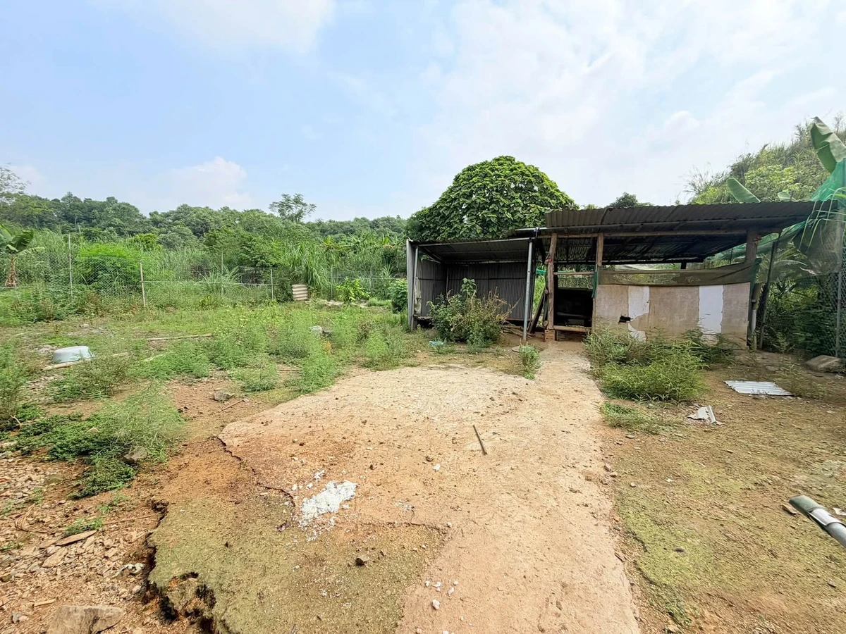 Bán nhà 600m2 tại Đông Tuyển, Hải Phòng - Ảnh thu nhỏ 5
