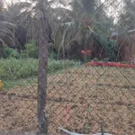 Bán đất 1200m2 mặt tiền Phạm Văn Ngô Tân Khánh - Ảnh thu nhỏ 3