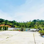 Bán lô biệt thự 2 mặt tiền 1.444 m² Đà Lạt - Ảnh thu nhỏ 3