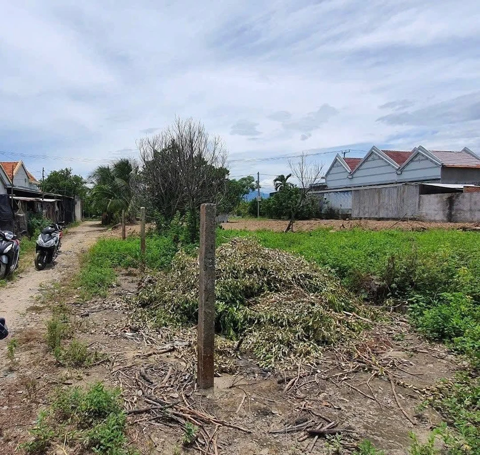 Bán đất Ninh Trung 146m2, 200 triệu - Ảnh thu nhỏ 2