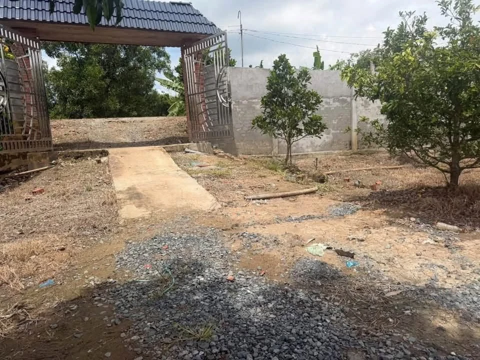 Bán 19 công đất xã Tân Thạnh Tây Ninh, 3,8 tỷ - Ảnh thu nhỏ 4