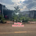 Bán đất mặt đường 5x50m tại Nam Gia Nghĩa, Lâm Đồng - Ảnh thu nhỏ 1