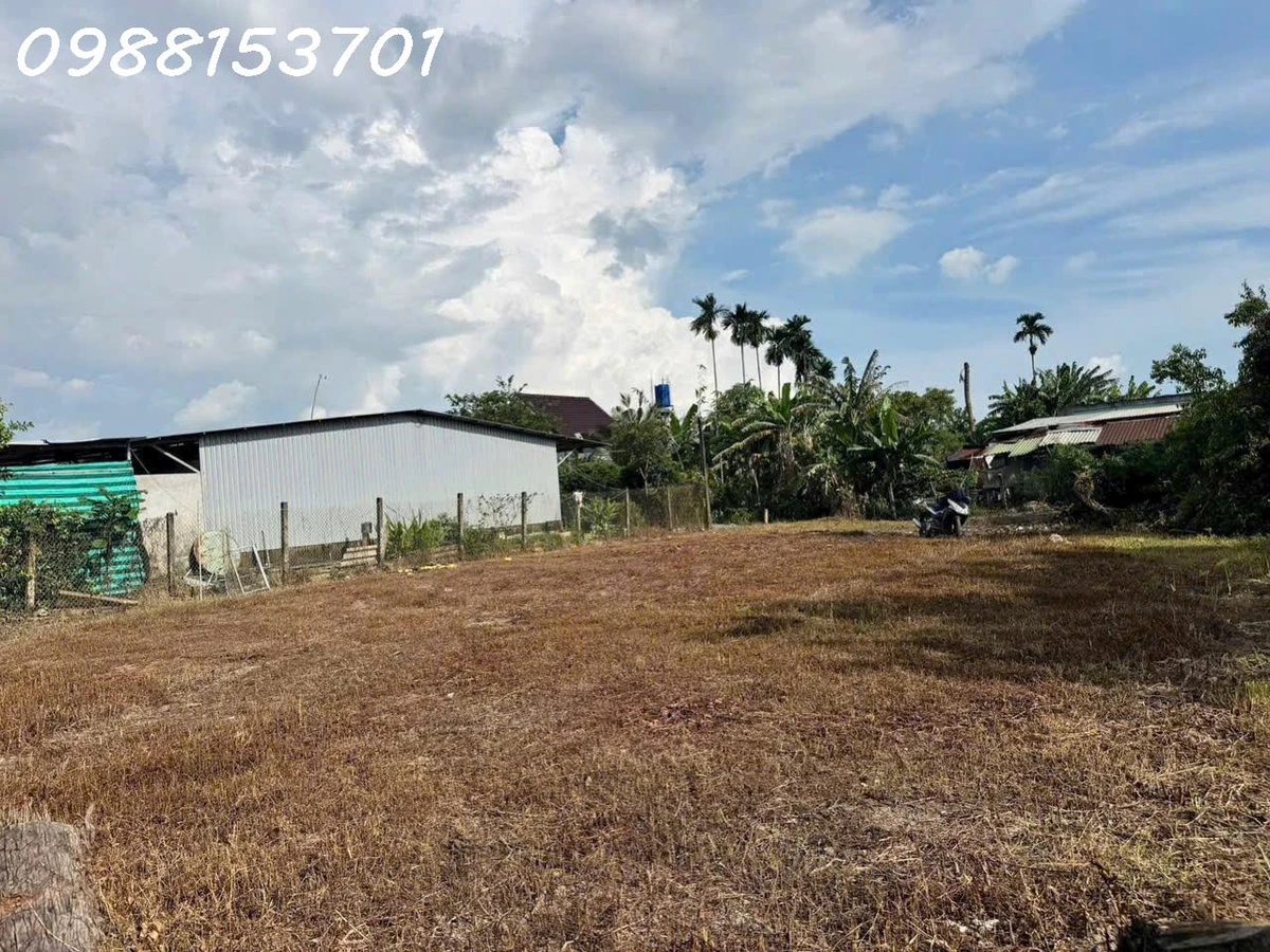 Bán đất tại đường Nguyễn Văn Thành, Chánh Phú Hoà, DT 1890m2 có 800m2 thổ cư - Ảnh 1