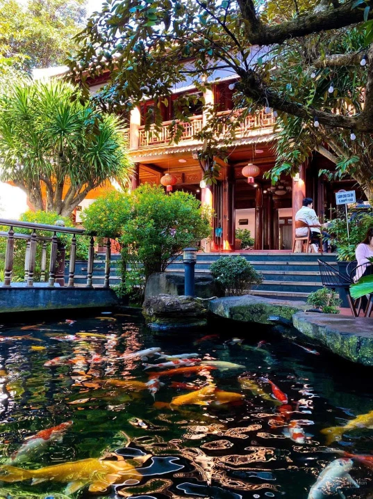 Chuyển nhượng nhà mặt phố Suối Hội Phú Pleiku: 1250m2, sẵn hạ tầng cao cấp, sổ hồng chính chủ - Ảnh thu nhỏ 3