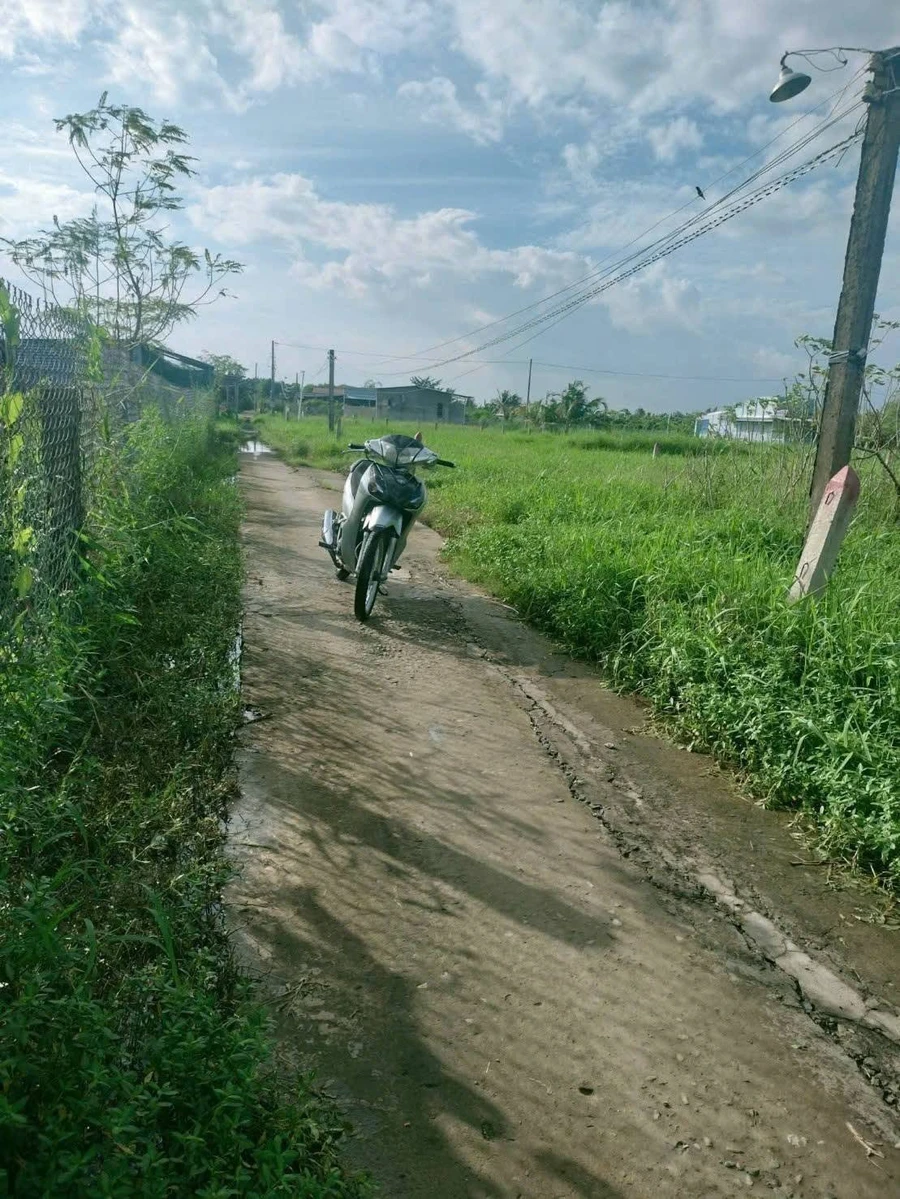 Bán đất Gò Công Đông Tiền Giang 117,5m² 250 triệu - Ảnh 1